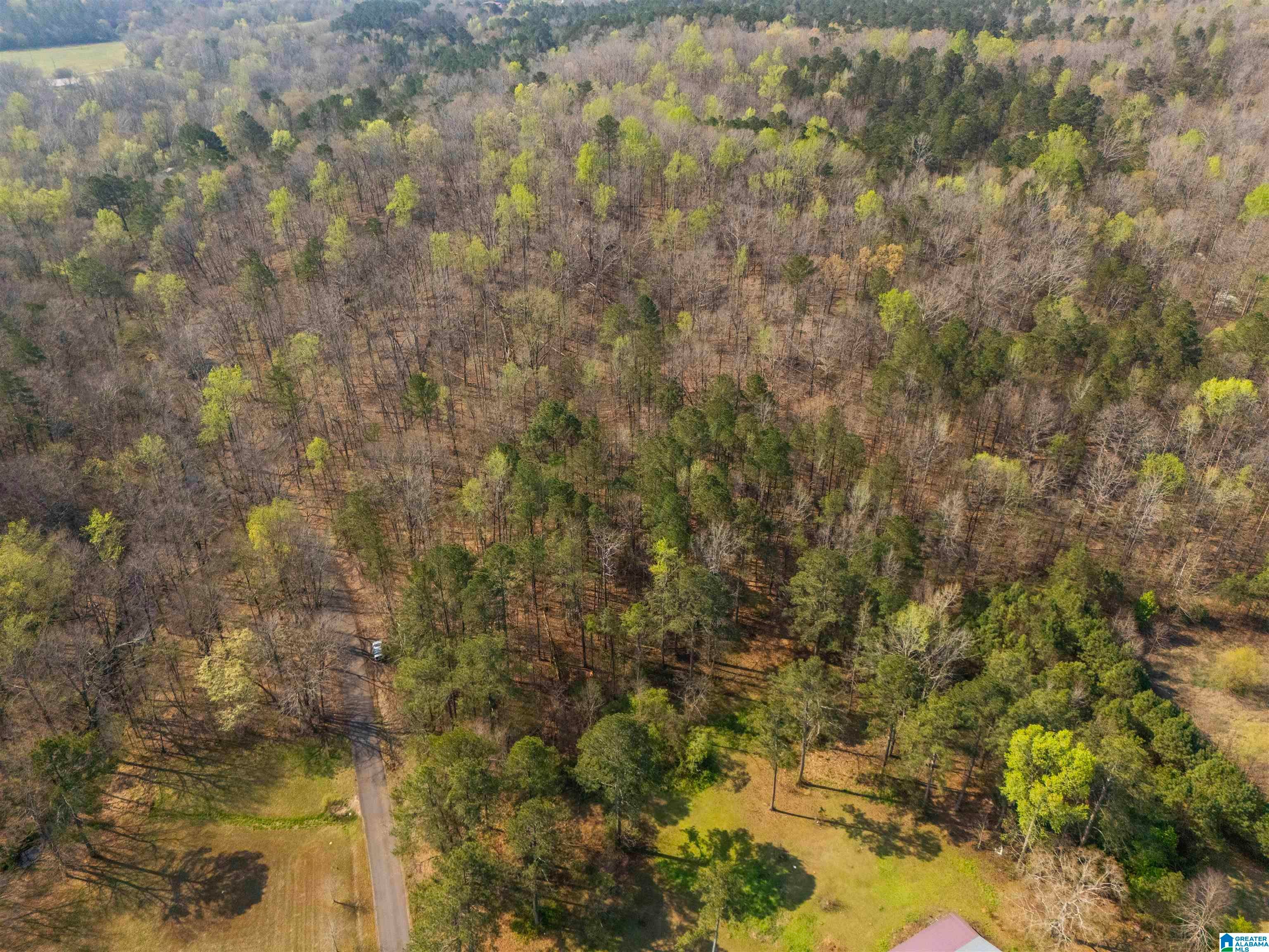 12 Acres ALLISON LANE 0