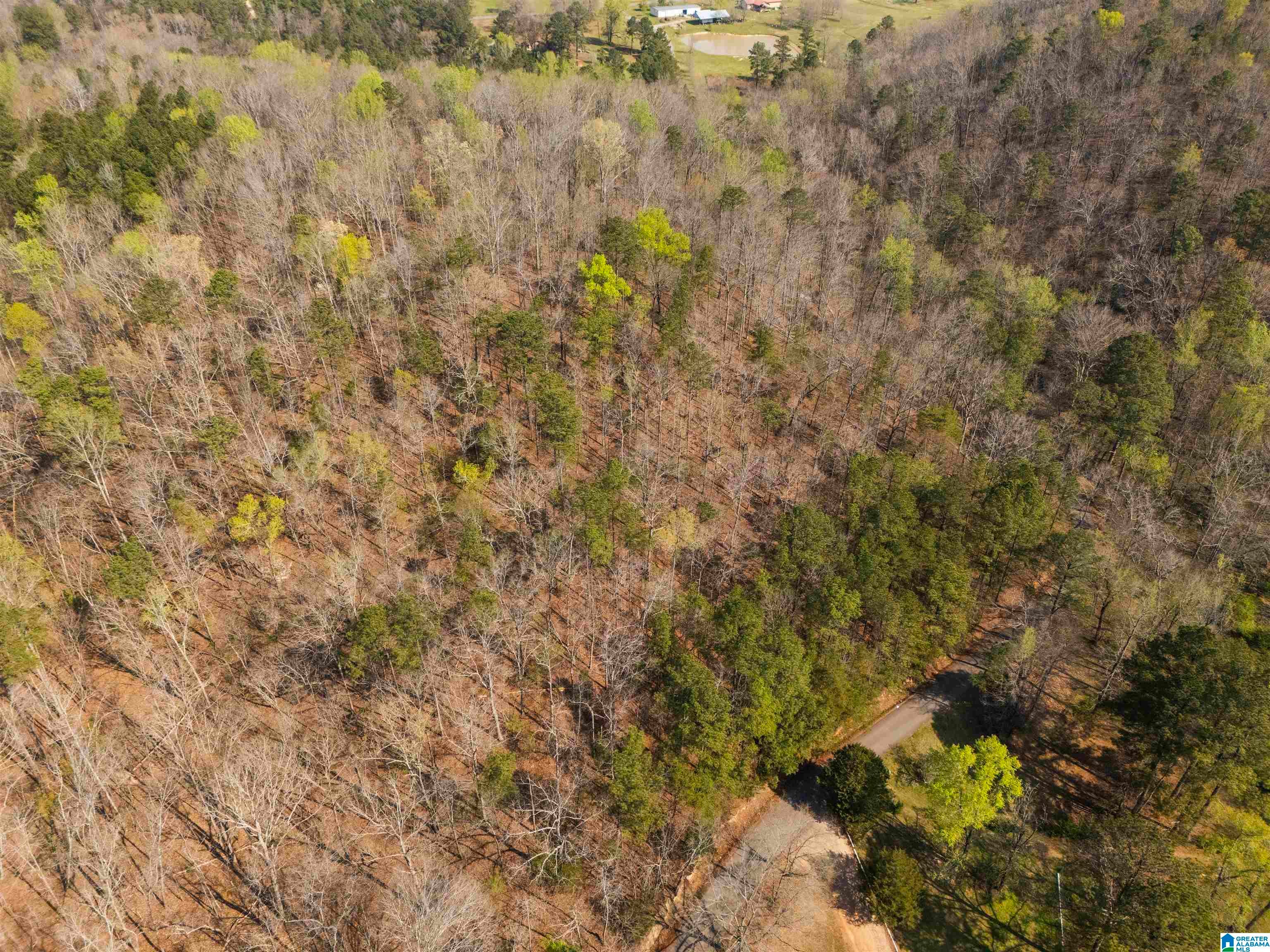 12 Acres ALLISON LANE 0
