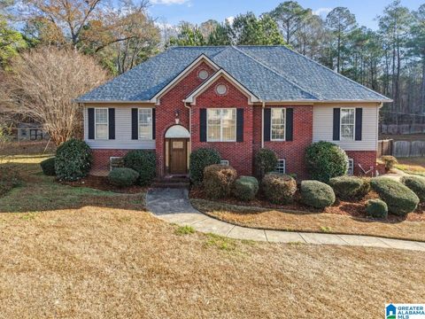 13675 LISA DRIVE LAKE VIEW AL 35111