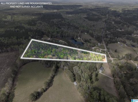 5133 HIGHWAY 36 0X0 RANDOLPH AL 36792