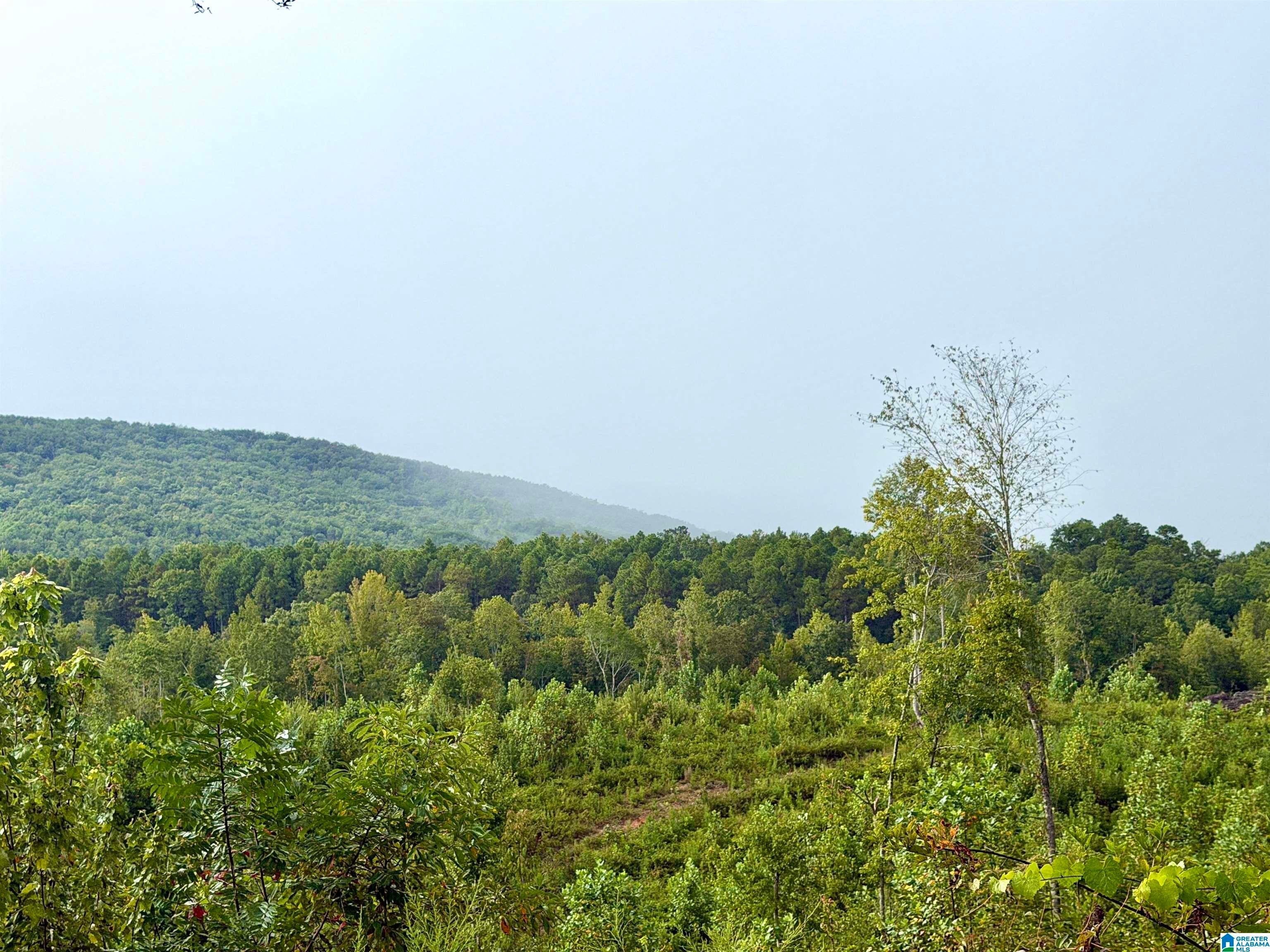0 NUBBIN CREEK ROAD 1