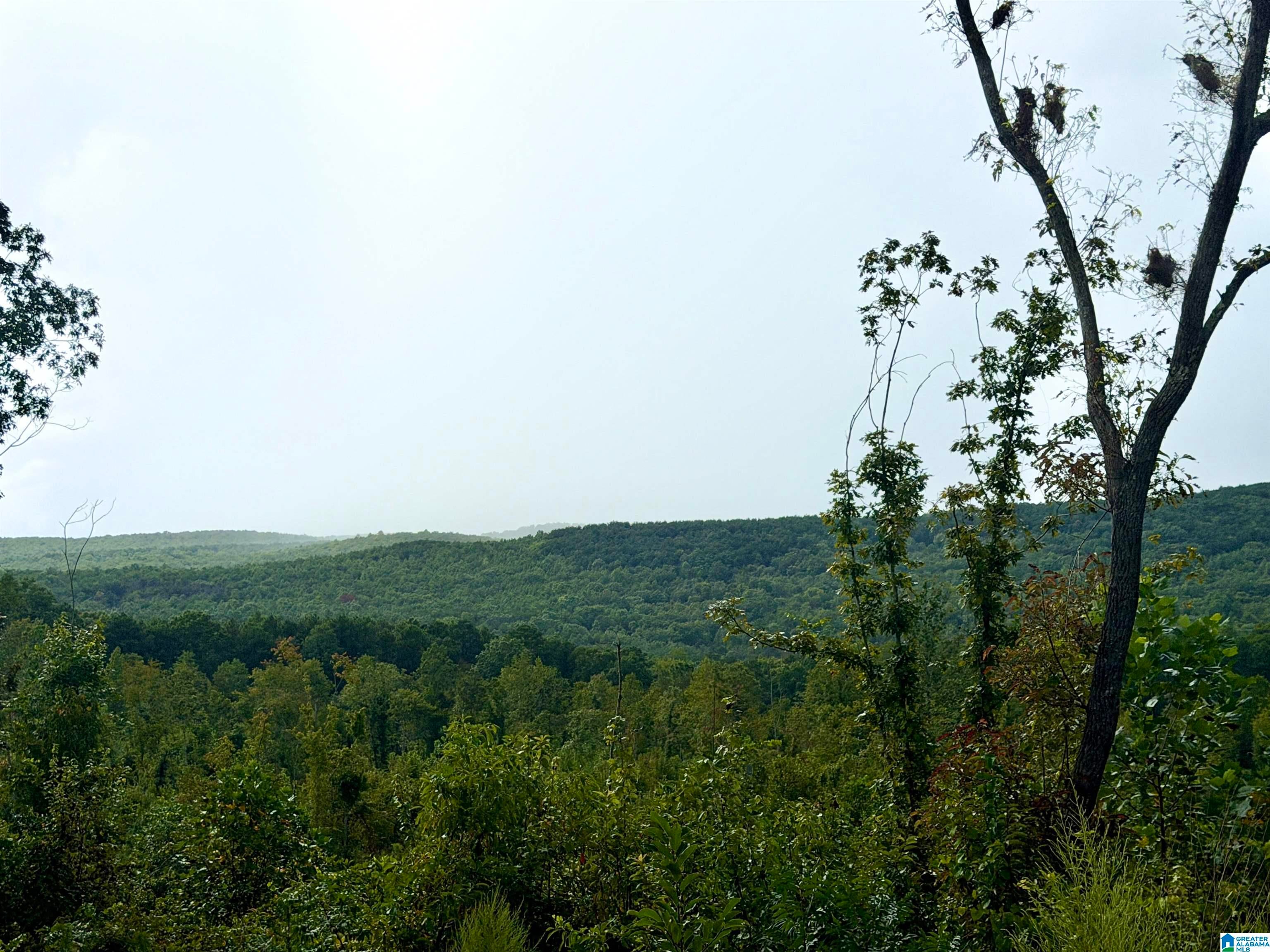 0 NUBBIN CREEK ROAD 1