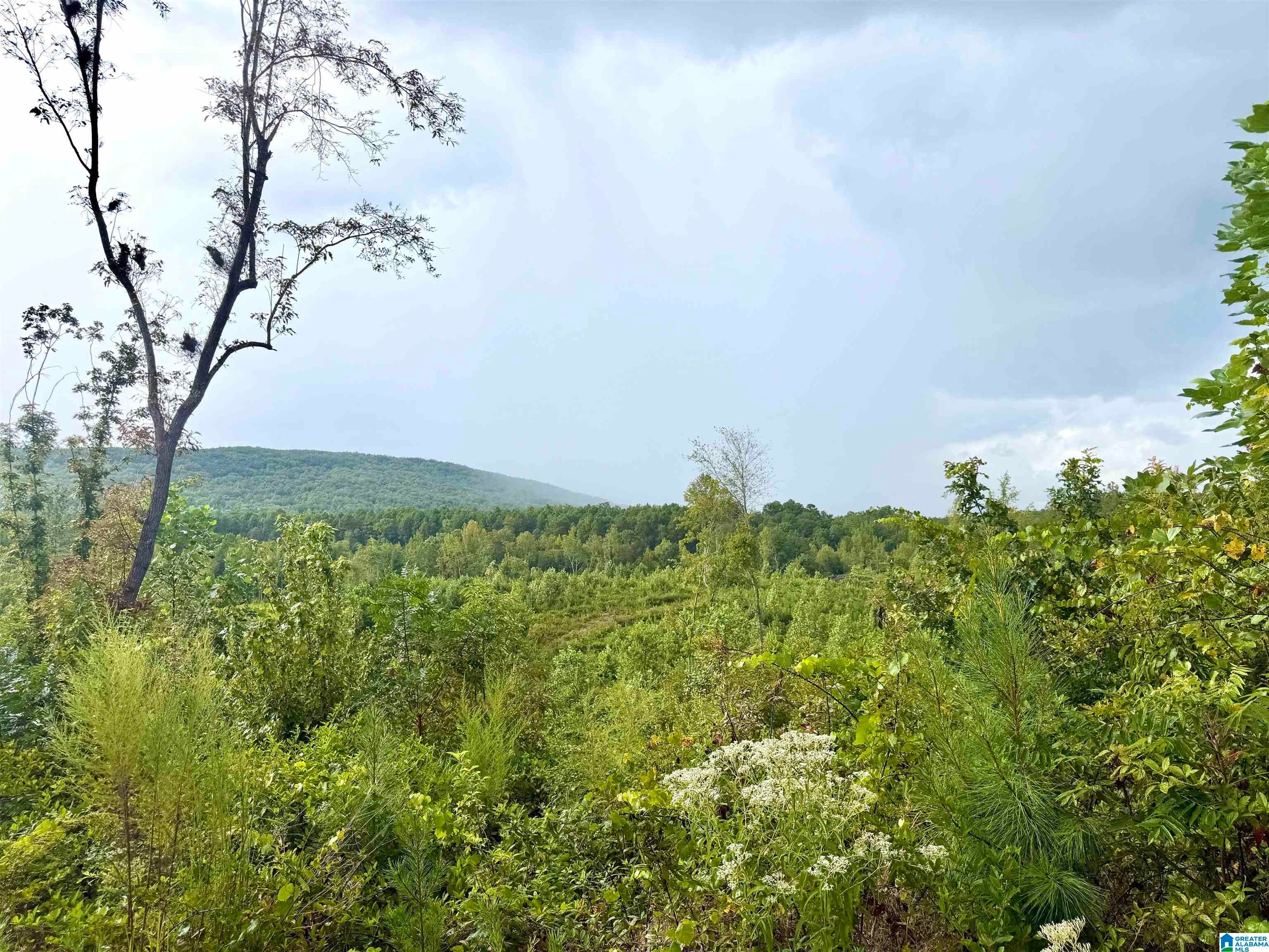 0 NUBBIN CREEK ROAD 1
