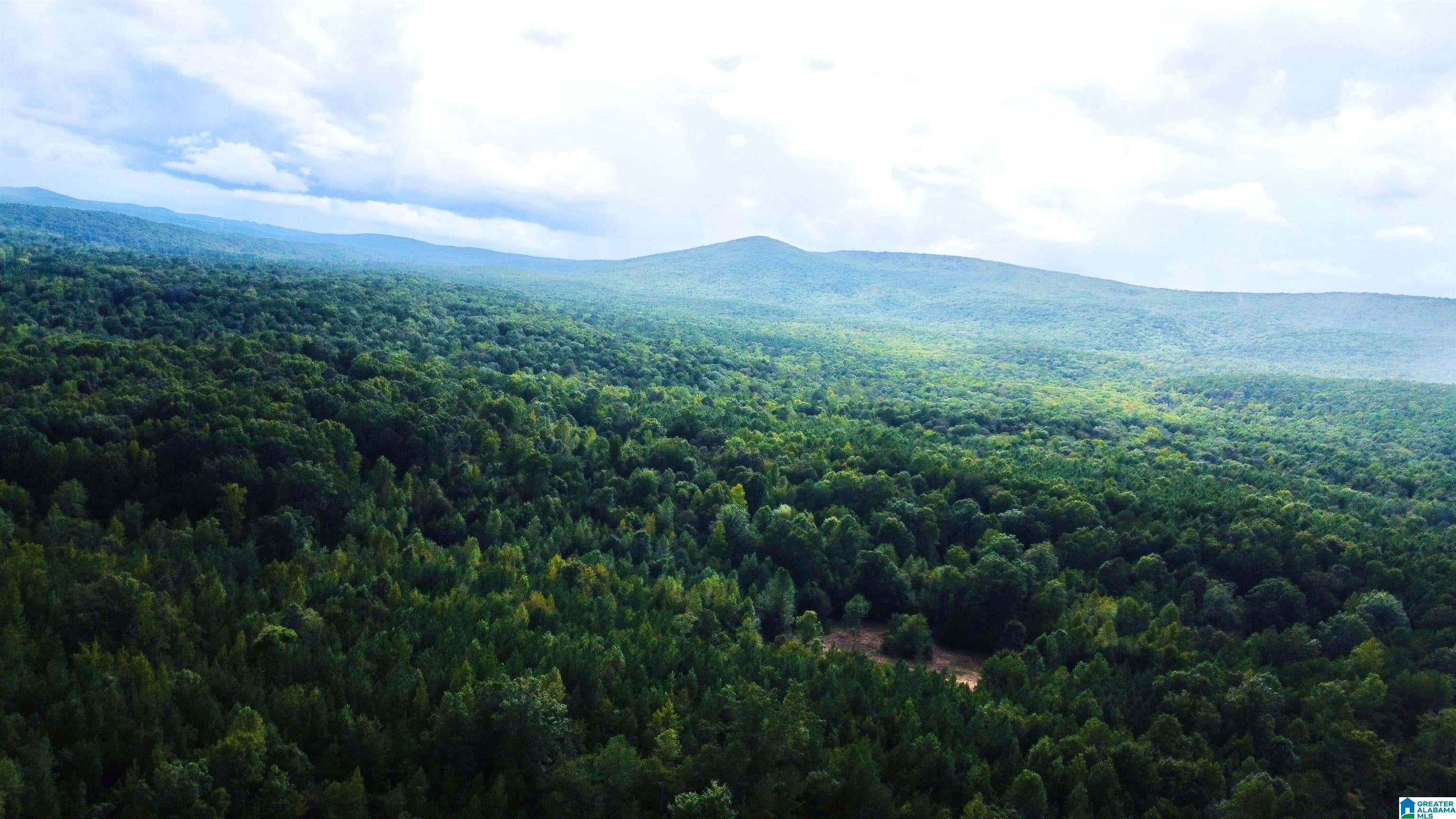 0 NUBBIN CREEK ROAD 1