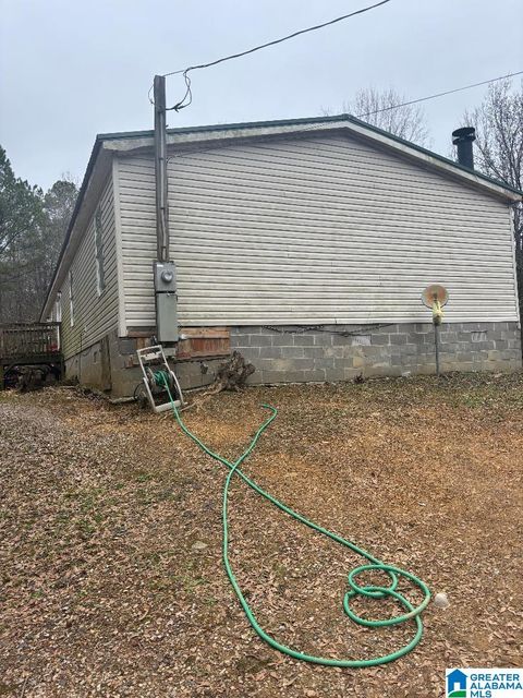 4731 PALOS ROAD DORA AL 35130