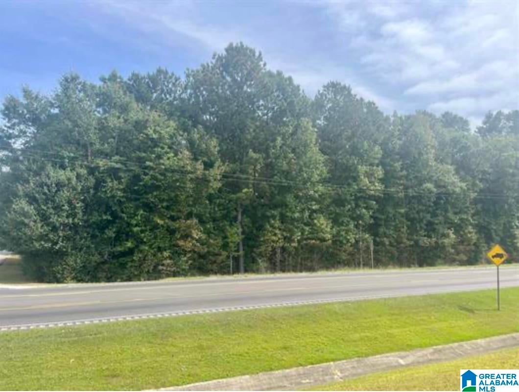 6.04 acres HIGHWAY 431