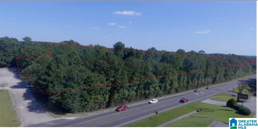 6.04 acres HIGHWAY 431