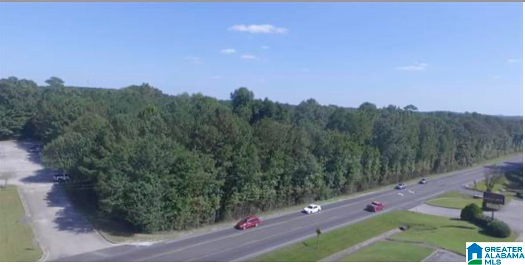 6.04 acres HIGHWAY 431