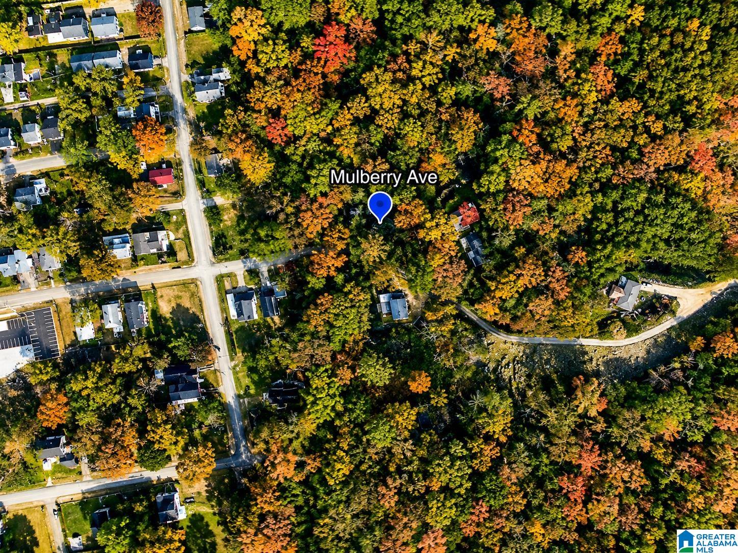 MULBERRY AVENUE NA