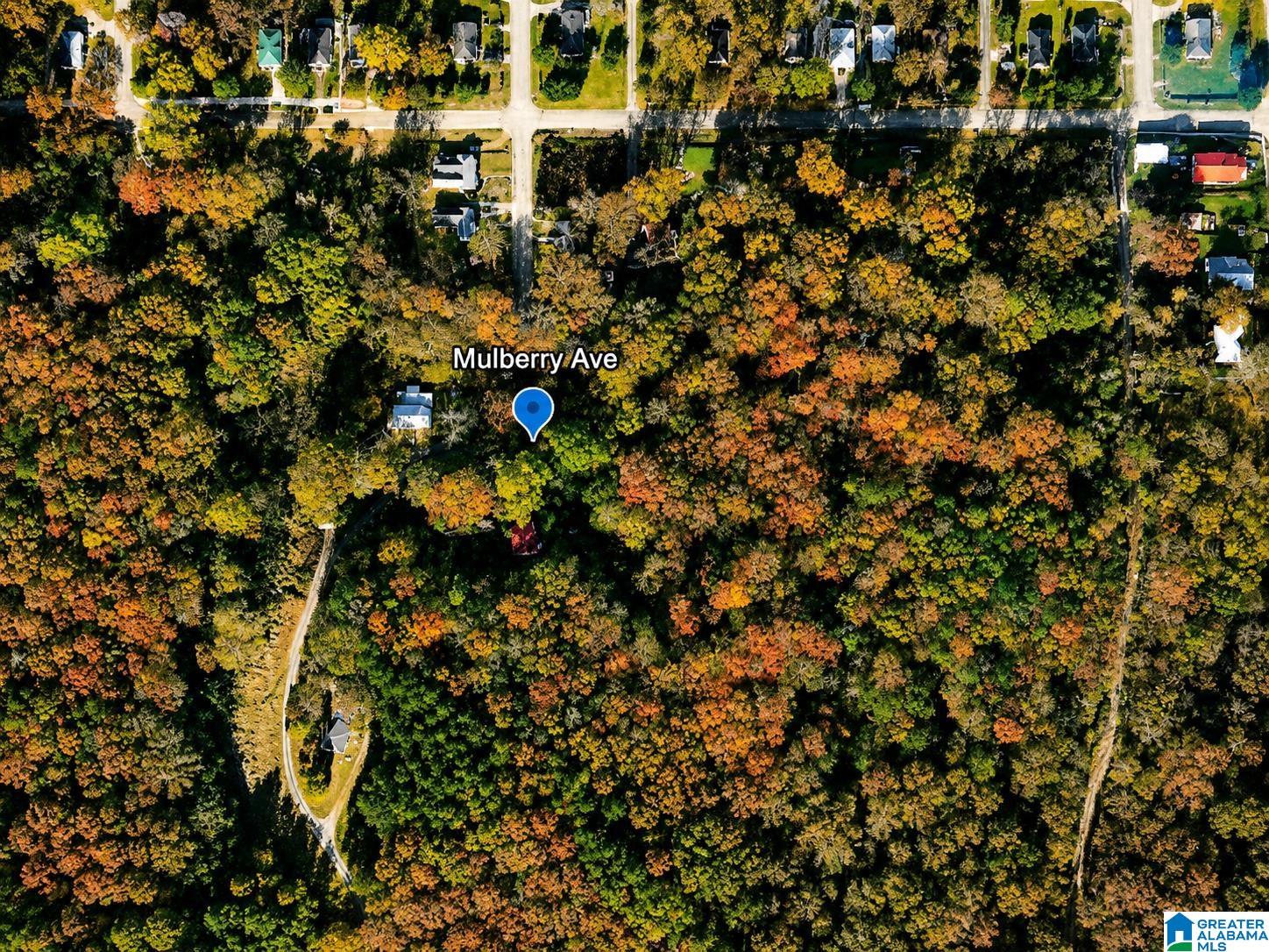 MULBERRY AVENUE NA