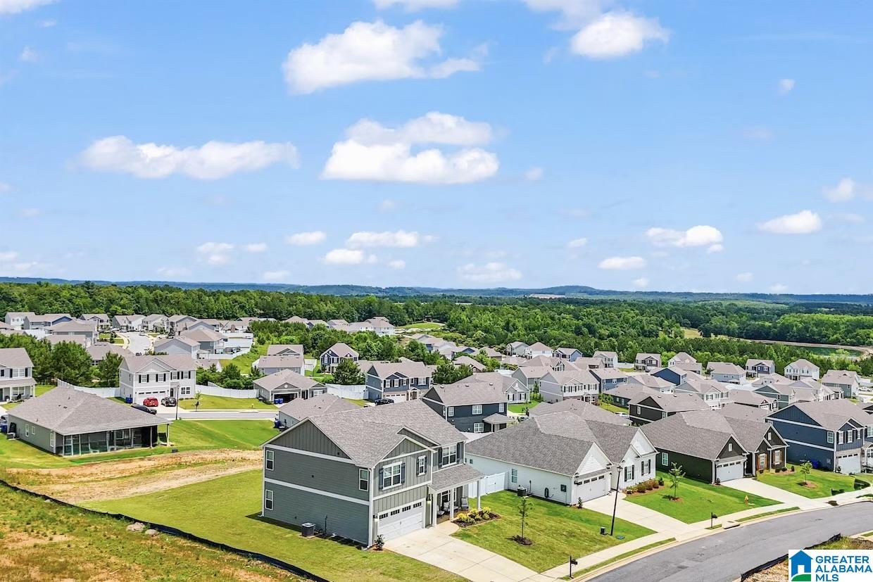 3001 SPECKLEBELLY WAY