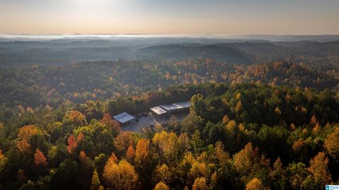 1429 WILDERNESS TRAIL 1 SHELBY AL 35143