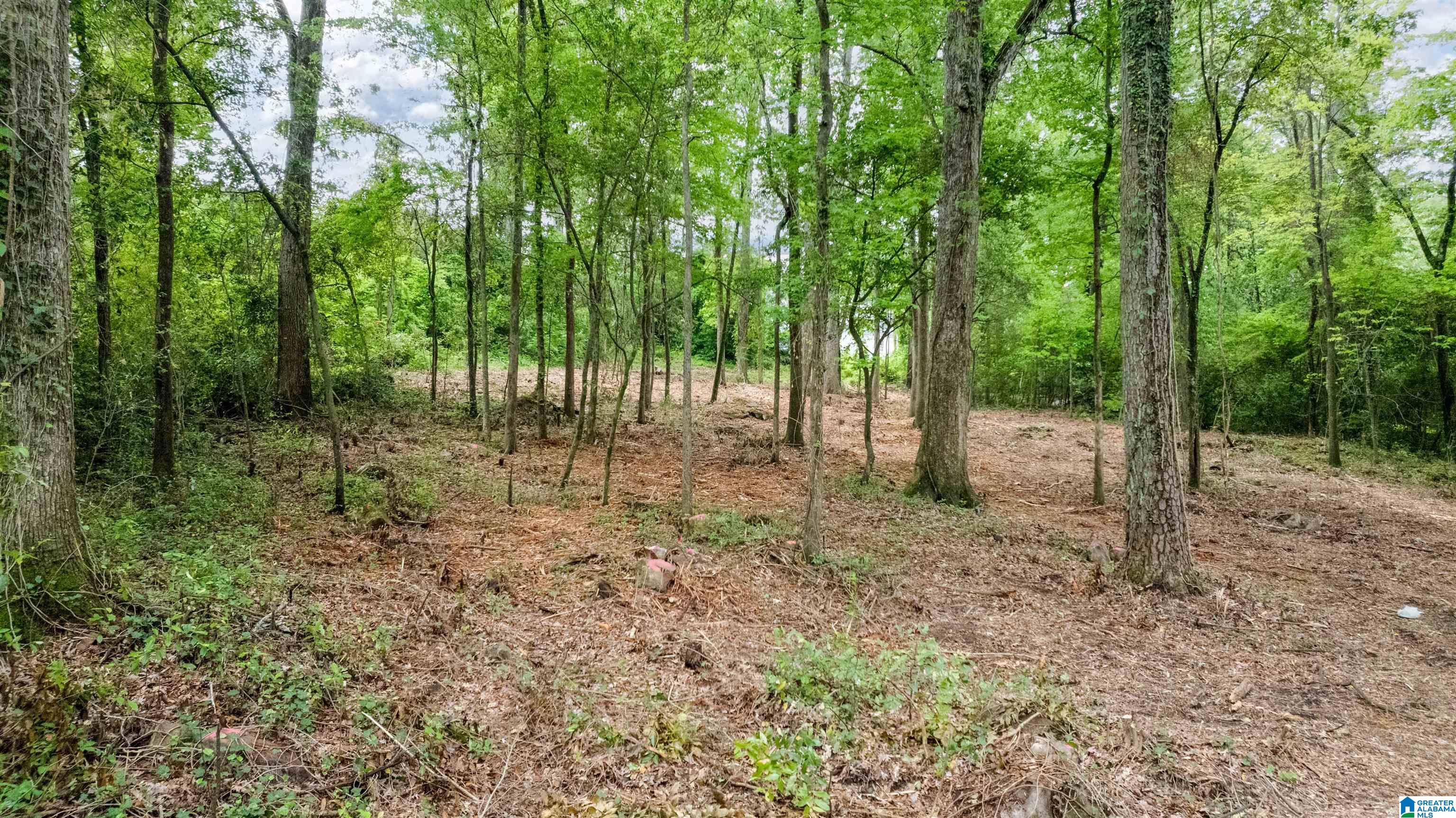 3613 MONTCLAIR ROAD 000