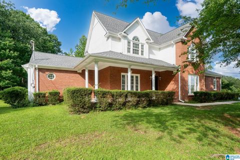 295 RIDGE VIEW WAY SPRINGVILLE AL 35146