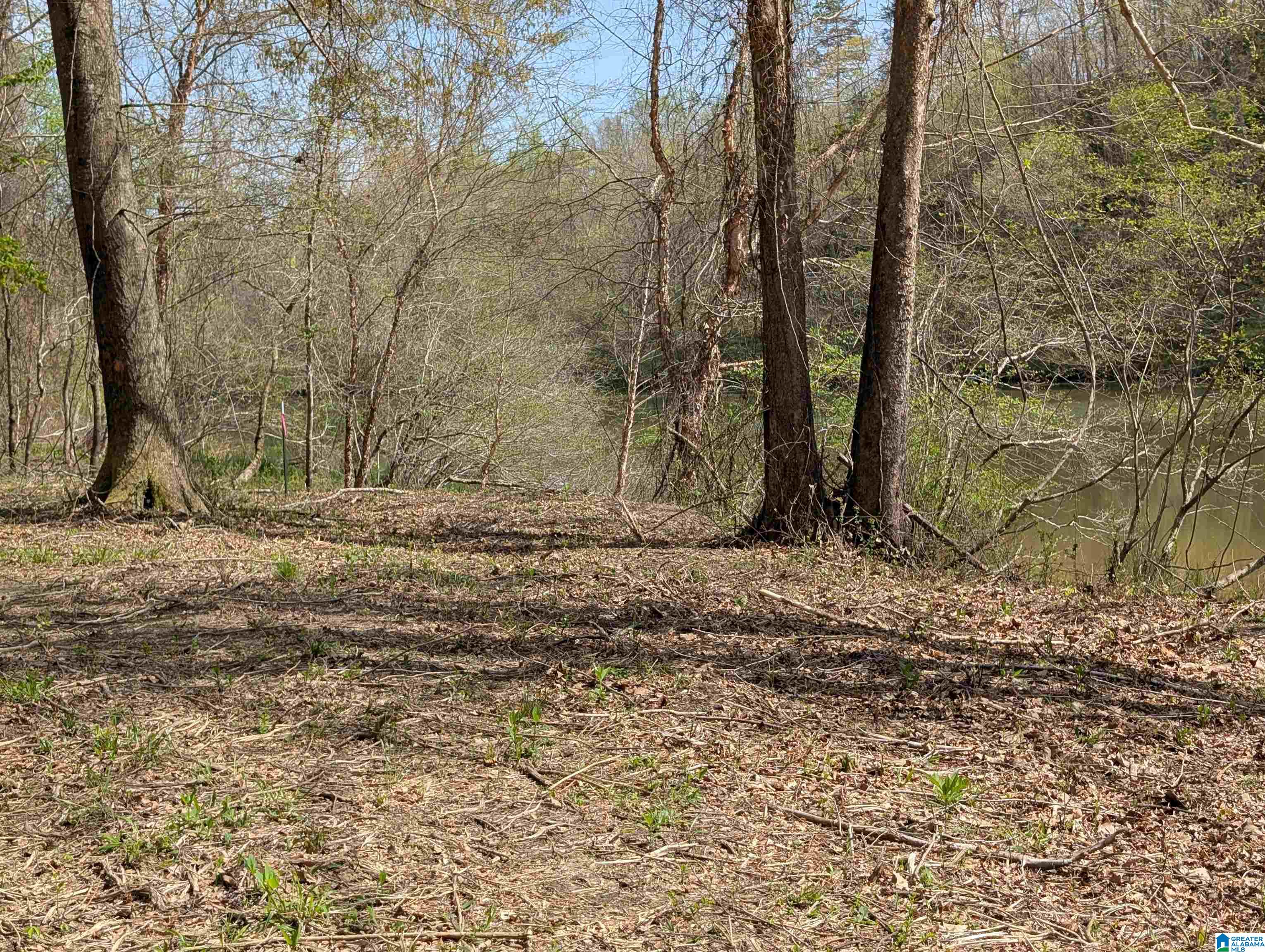 Lot 1-A RIVER CREST DRIVE A