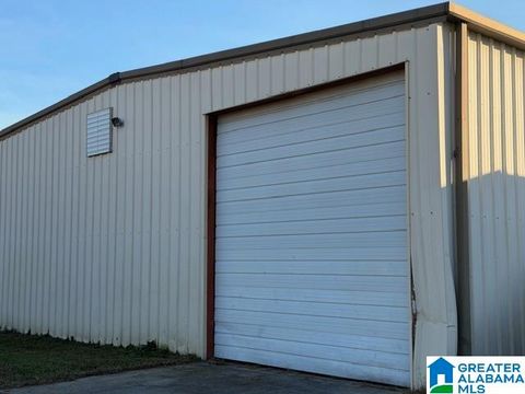 0 MARTIN STREET 0 CROPWELL AL 35054