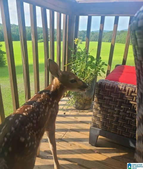 2865 JENIFER ROAD MUNFORD AL 36268