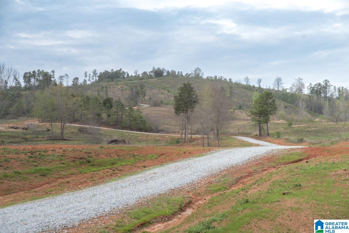 4947 HIGHWAY 231 Unit 1/Lots 2-6
