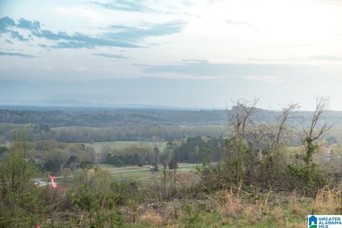 4947 HIGHWAY 231 Unit 1/Lots 2-6 VINCENT AL 35178