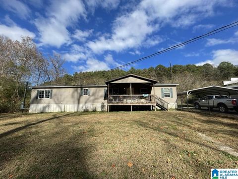 646 COMMERCE AVENUE DORA AL 35062