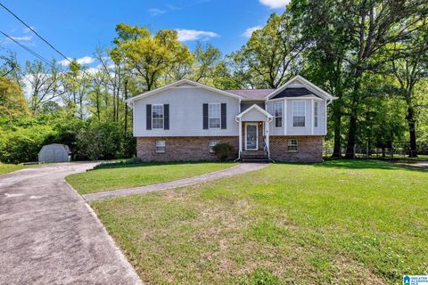 509 MOHICAN CIRCLE WARRIOR AL 35180