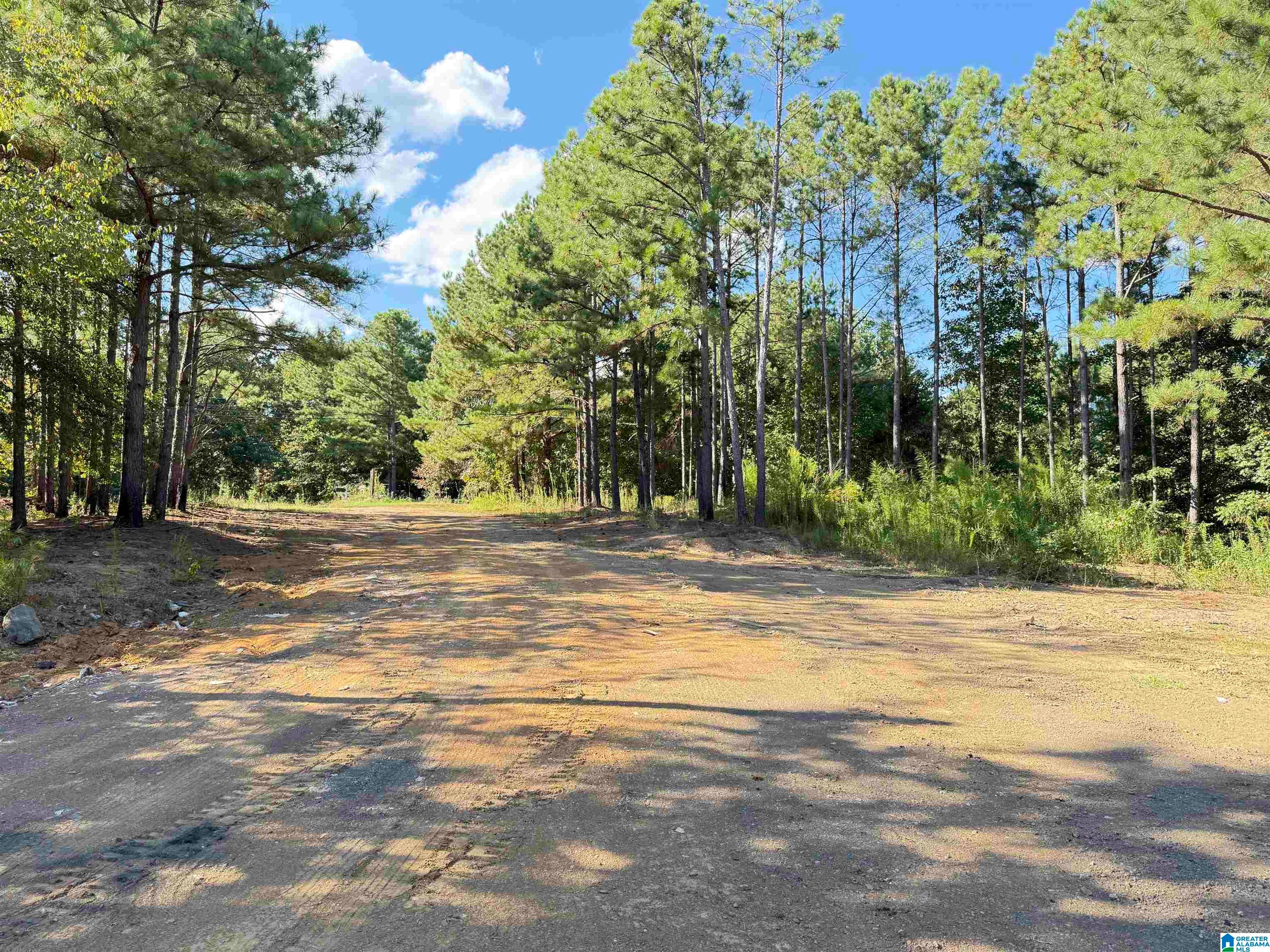 896 ROCKY RIDGE ROAD Tract 23