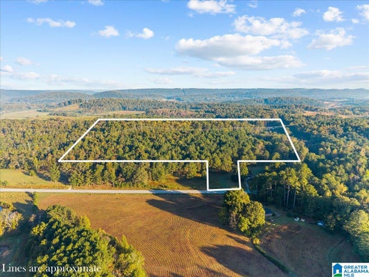 0 HOODS CROSS ROAD # 00, ONEONTA, AL 35121 - Image 51feebfaa30cf09c0bae062edd1c3084/1407622086