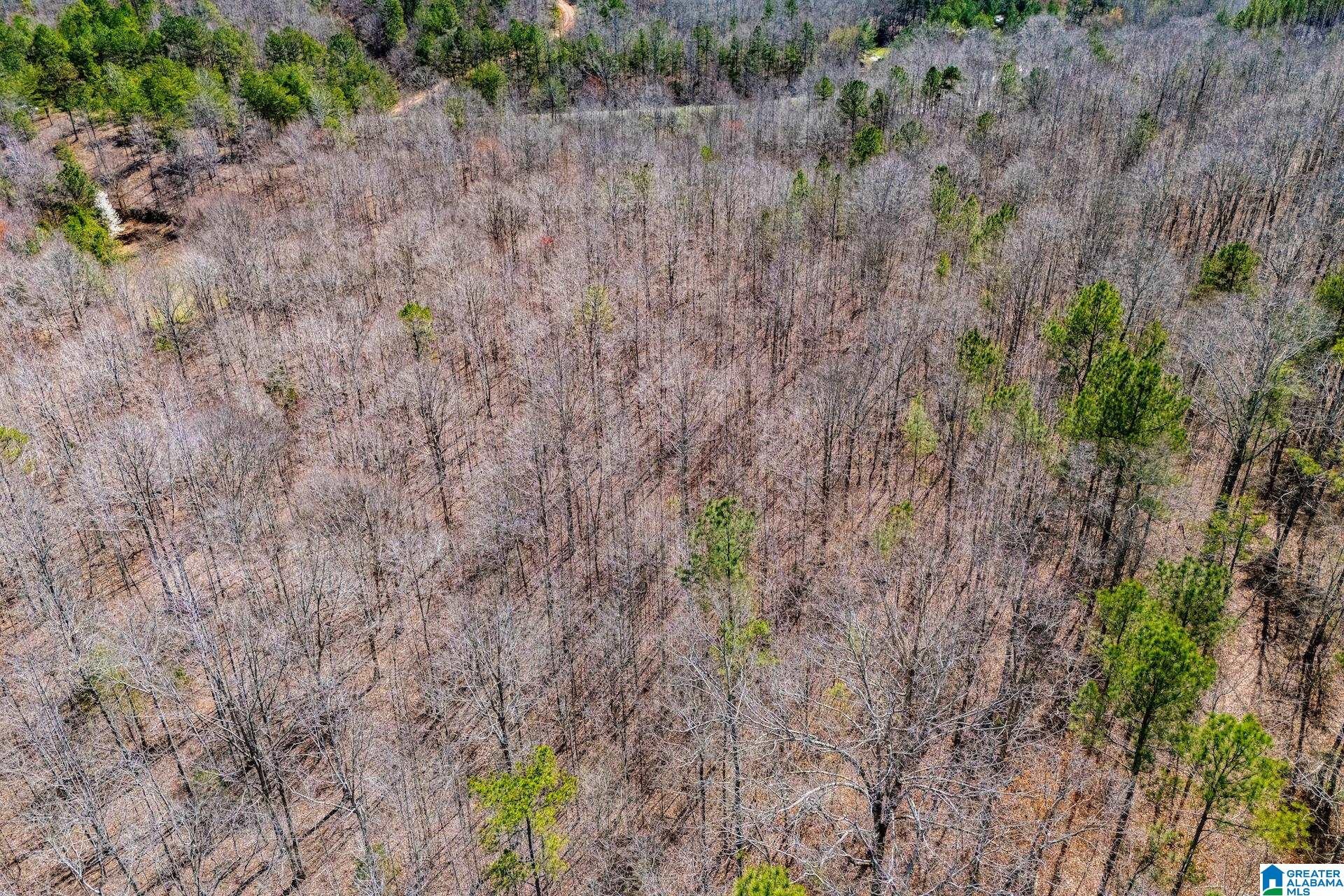 23 ACRES COUNTY ROAD 7 00