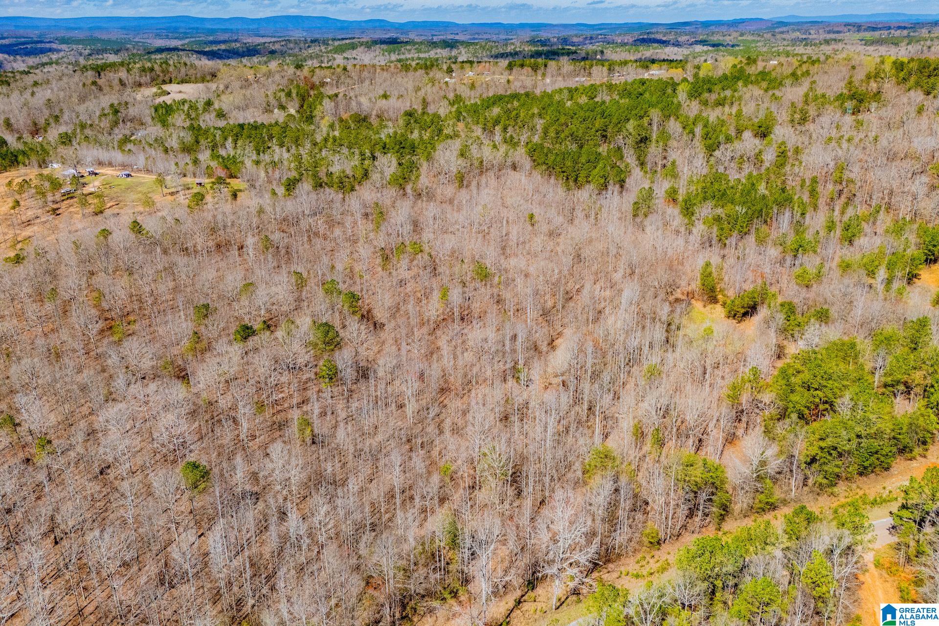 23 ACRES COUNTY ROAD 7 00