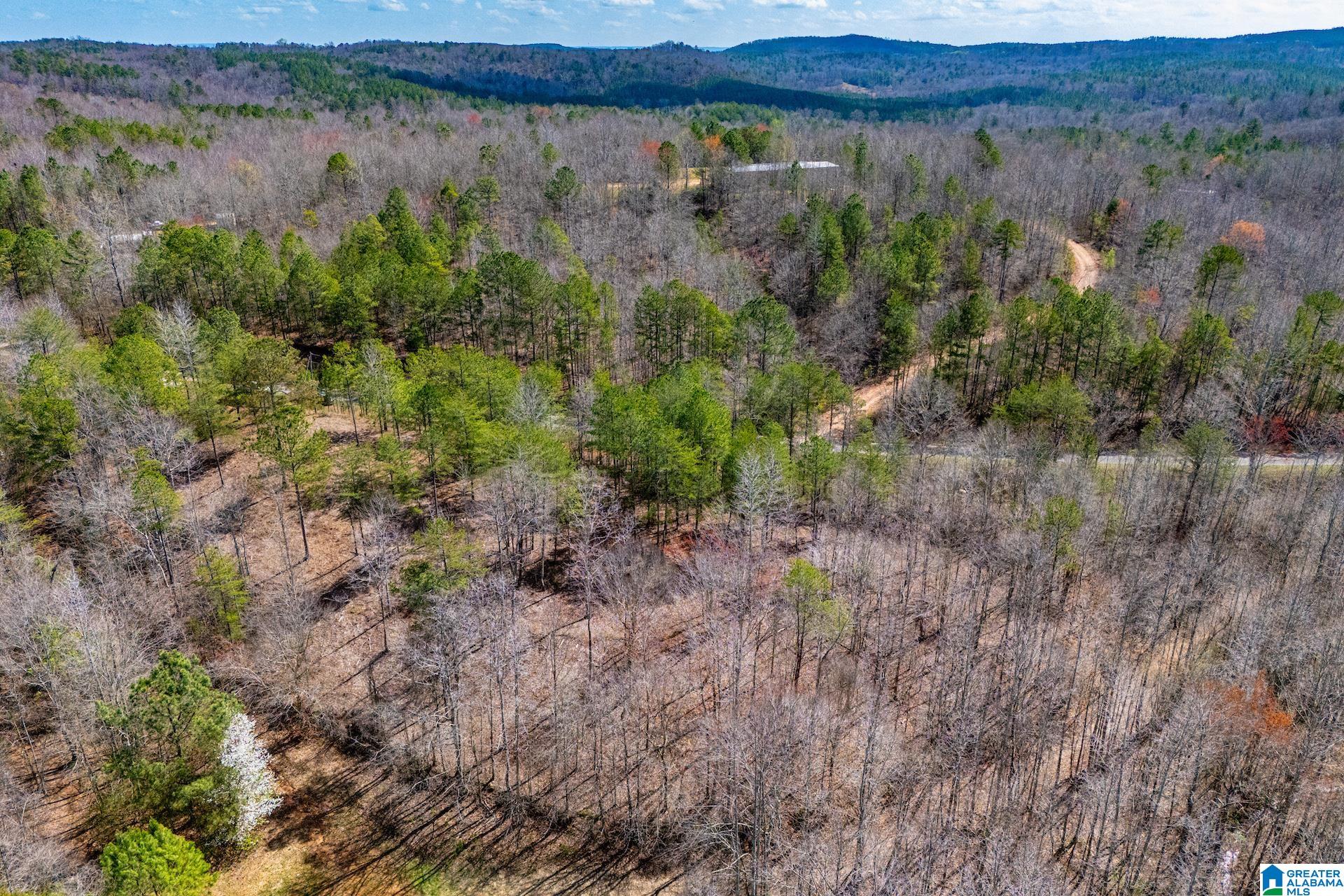 23 ACRES COUNTY ROAD 7 00