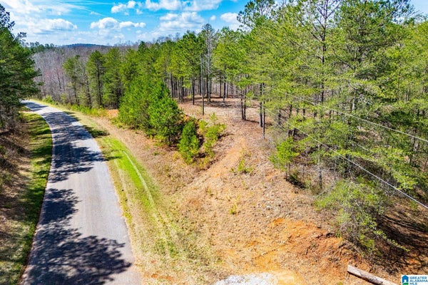 COUNTY RD 7, WEDOWEE, AL 36278 - Image 5232de592ba0c7d9d03bf7e30b72d9a1/360477624