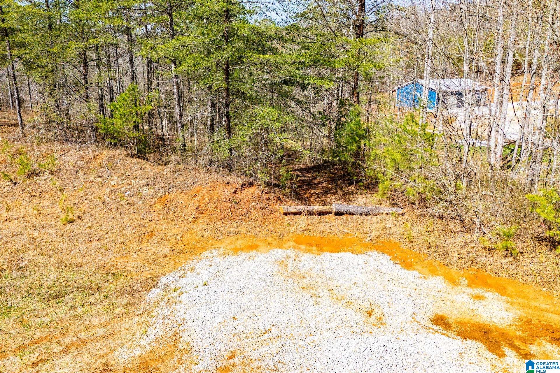 23 ACRES COUNTY ROAD 7 00