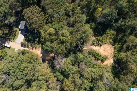 3040 DEBRA DRIVE 53 acres FULTONDALE AL 35068