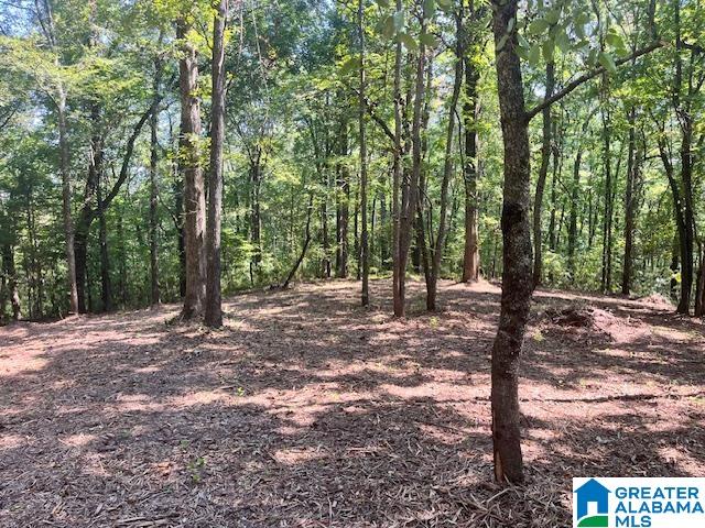 Photo 1 of 15 — 1110 29TH STREET N 2, PELL CITY, AL 35125