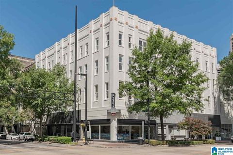 300 20TH STREET N 308 BIRMINGHAM AL 35203