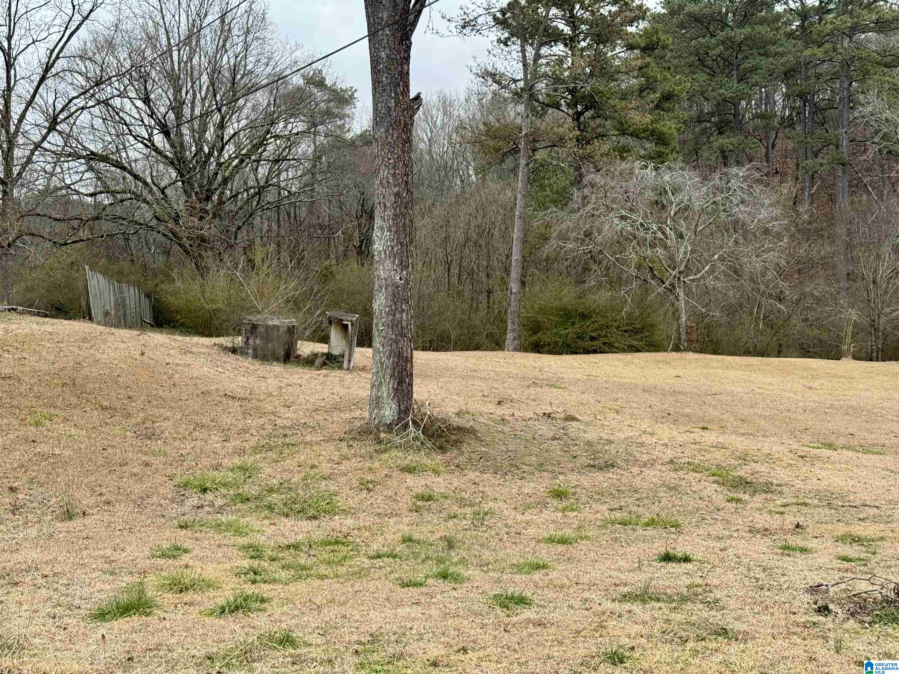 313 BELCHER HILL ROAD 1