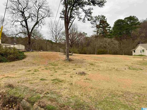 313 BELCHER HILL ROAD 1 GARDENDALE AL 35071