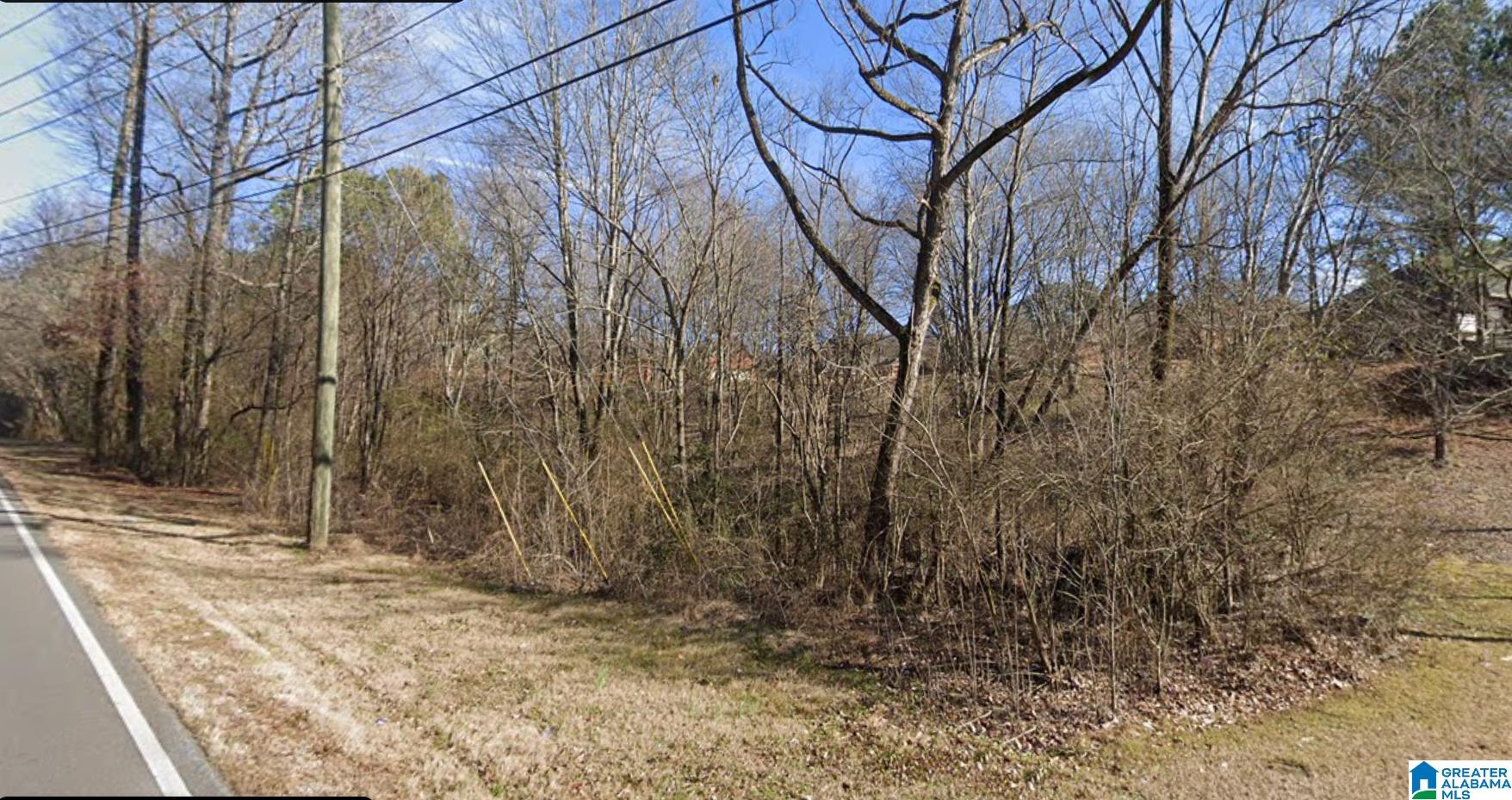 4541 MAGNOLIA RIDGE DRIVE 1