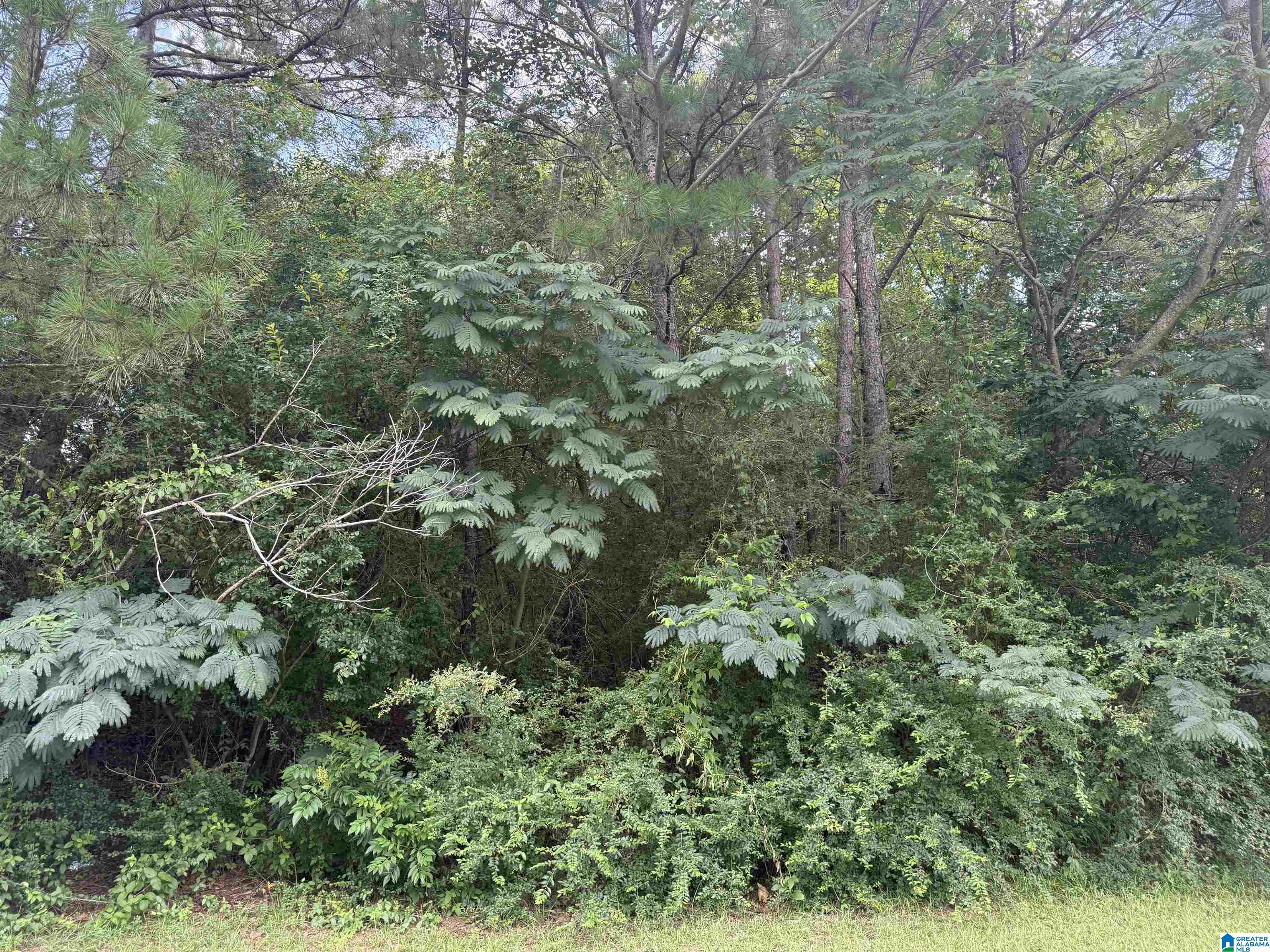 Photo 1 of 1 — 1721 QUAIL RIDGE DRIVE 17, GARDENDALE, AL 35071