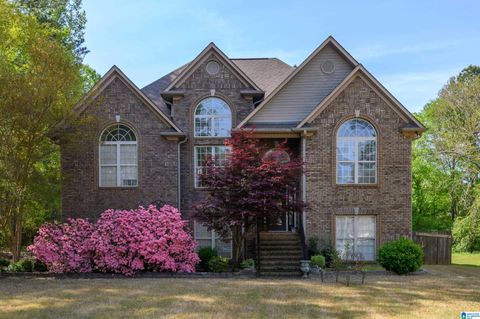 70 PEACEFUL COVE SPRINGVILLE AL 35146