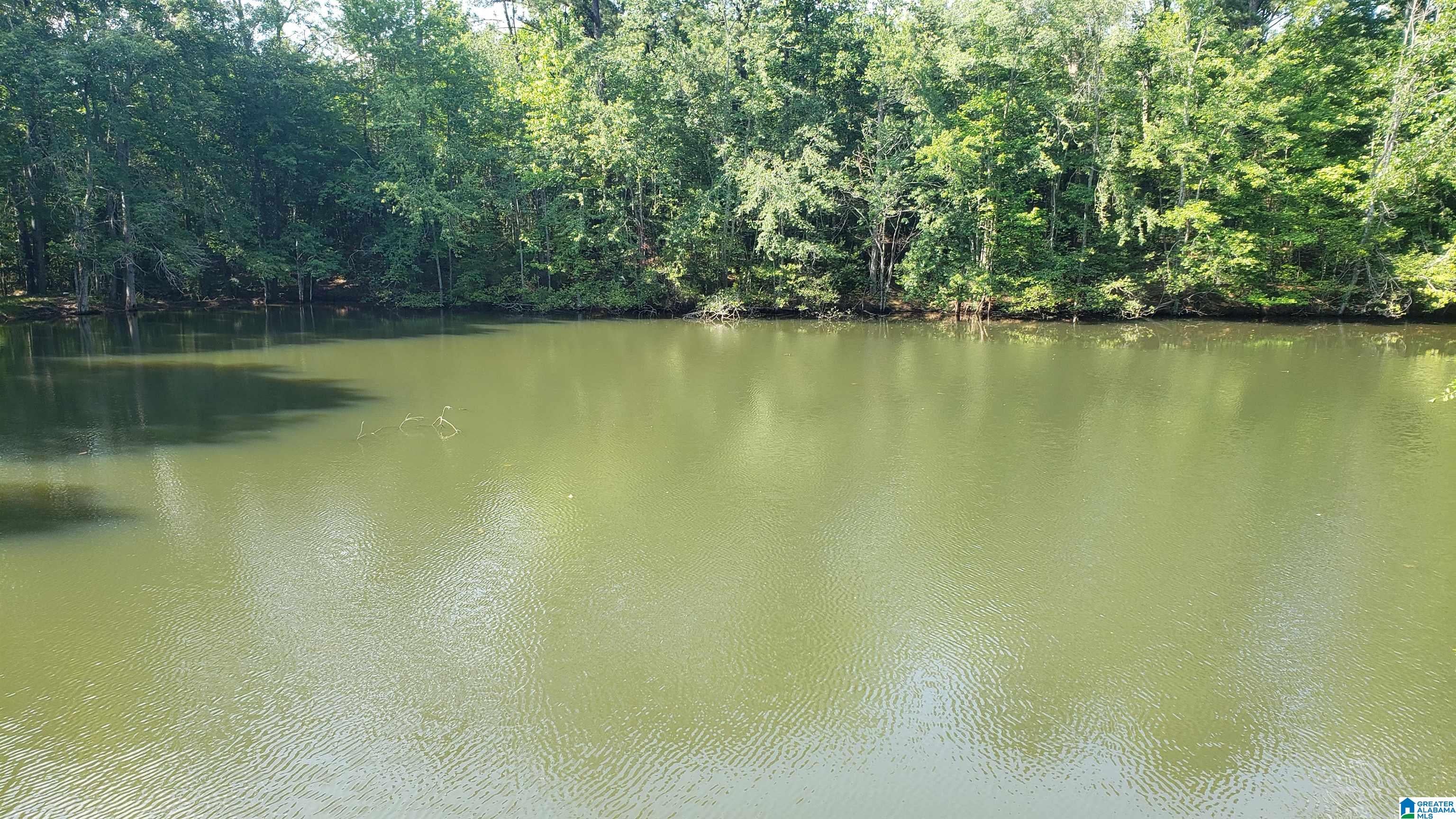 Photo 1 of 5 — 800 AIRPORT ROAD 1, CLANTON, AL 35045