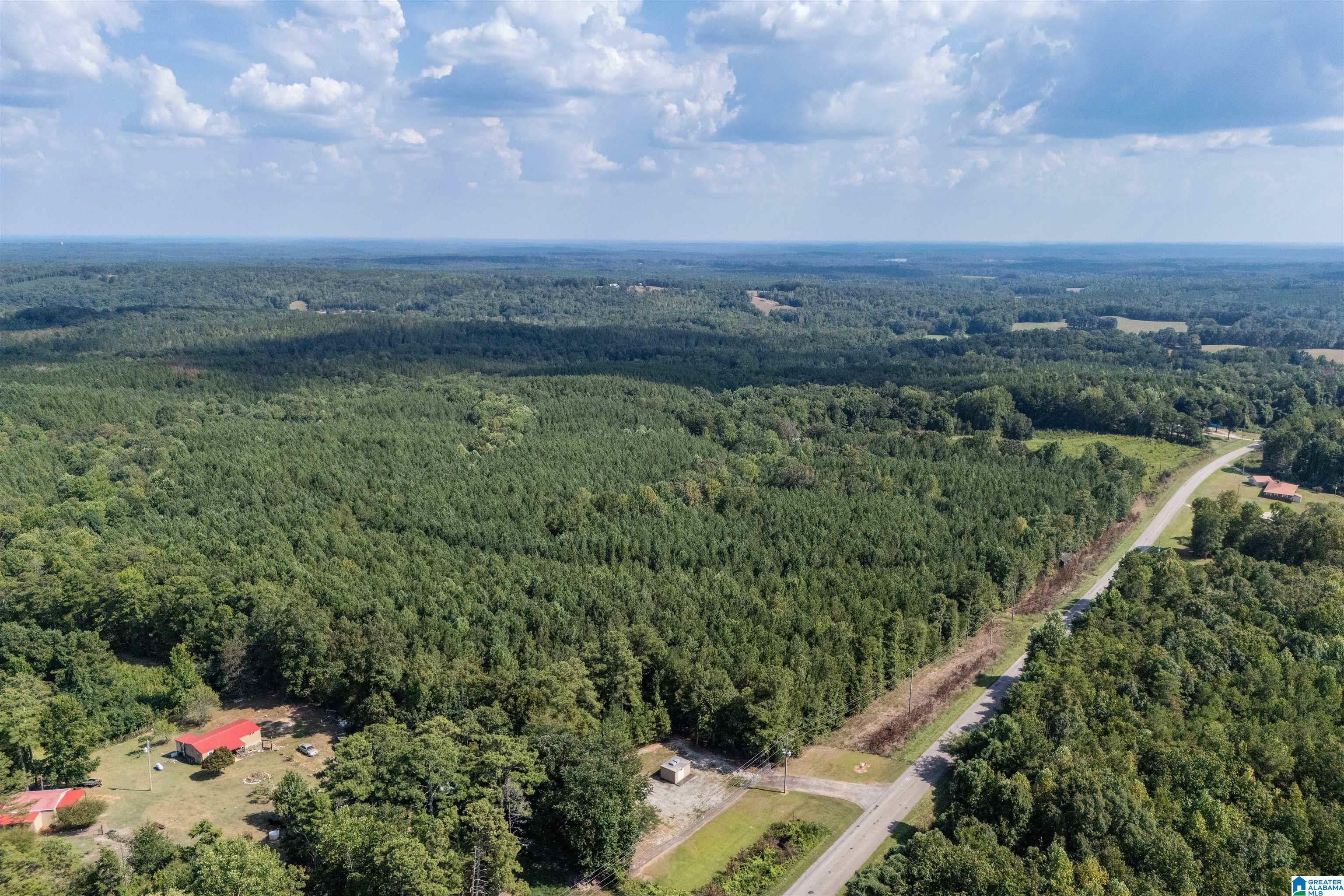 0 COUNTY ROAD 87 5
