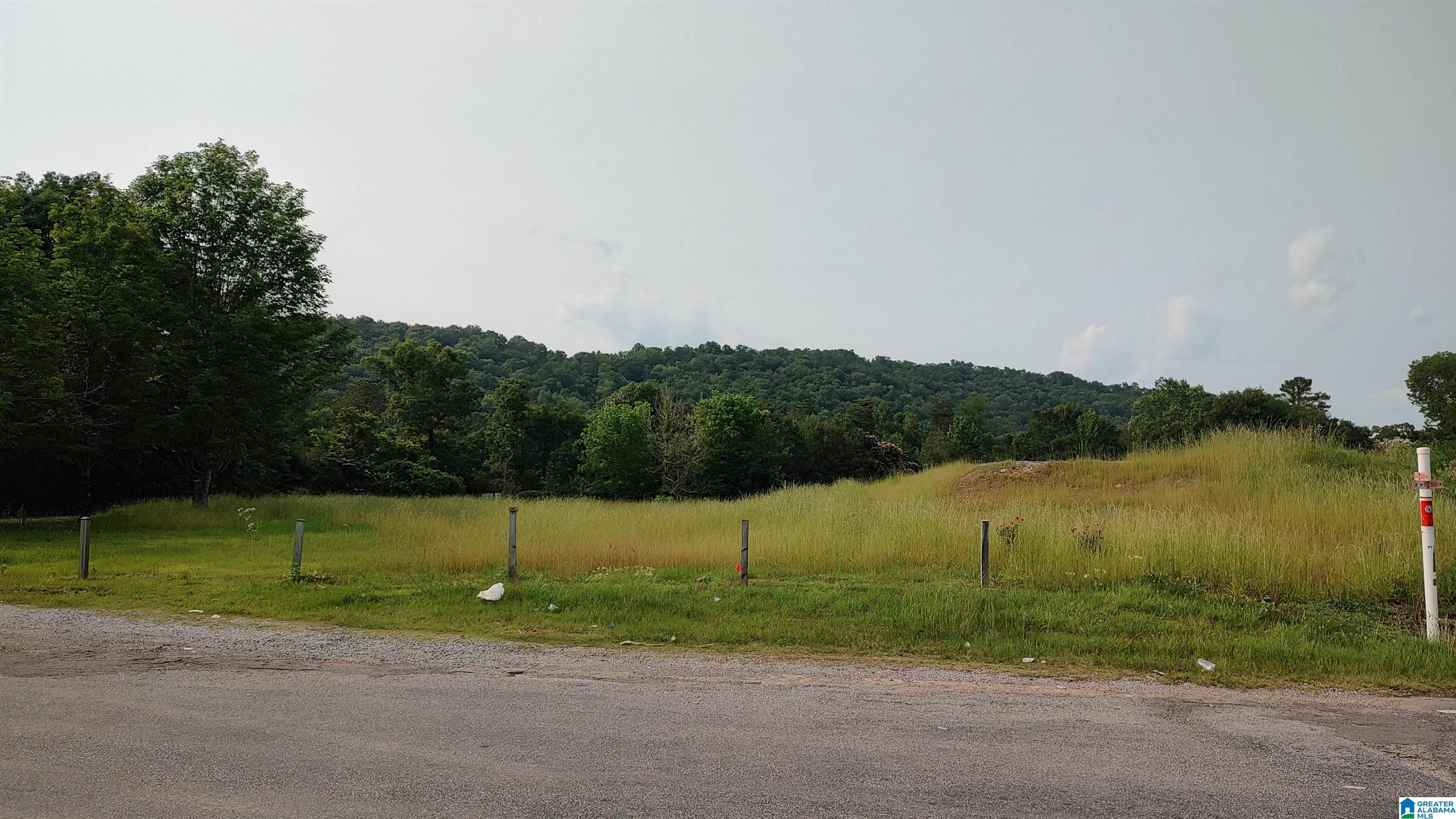 20 MILL CREEK ROAD