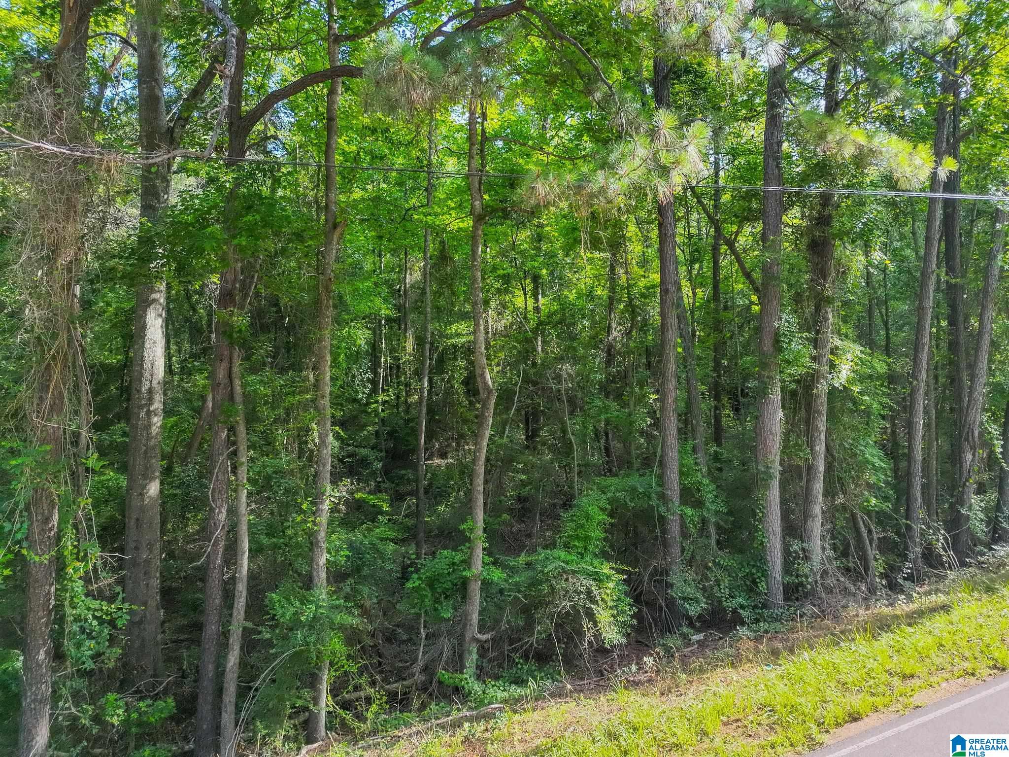 0 COUNTY ROAD 24 1 - Photo 3
