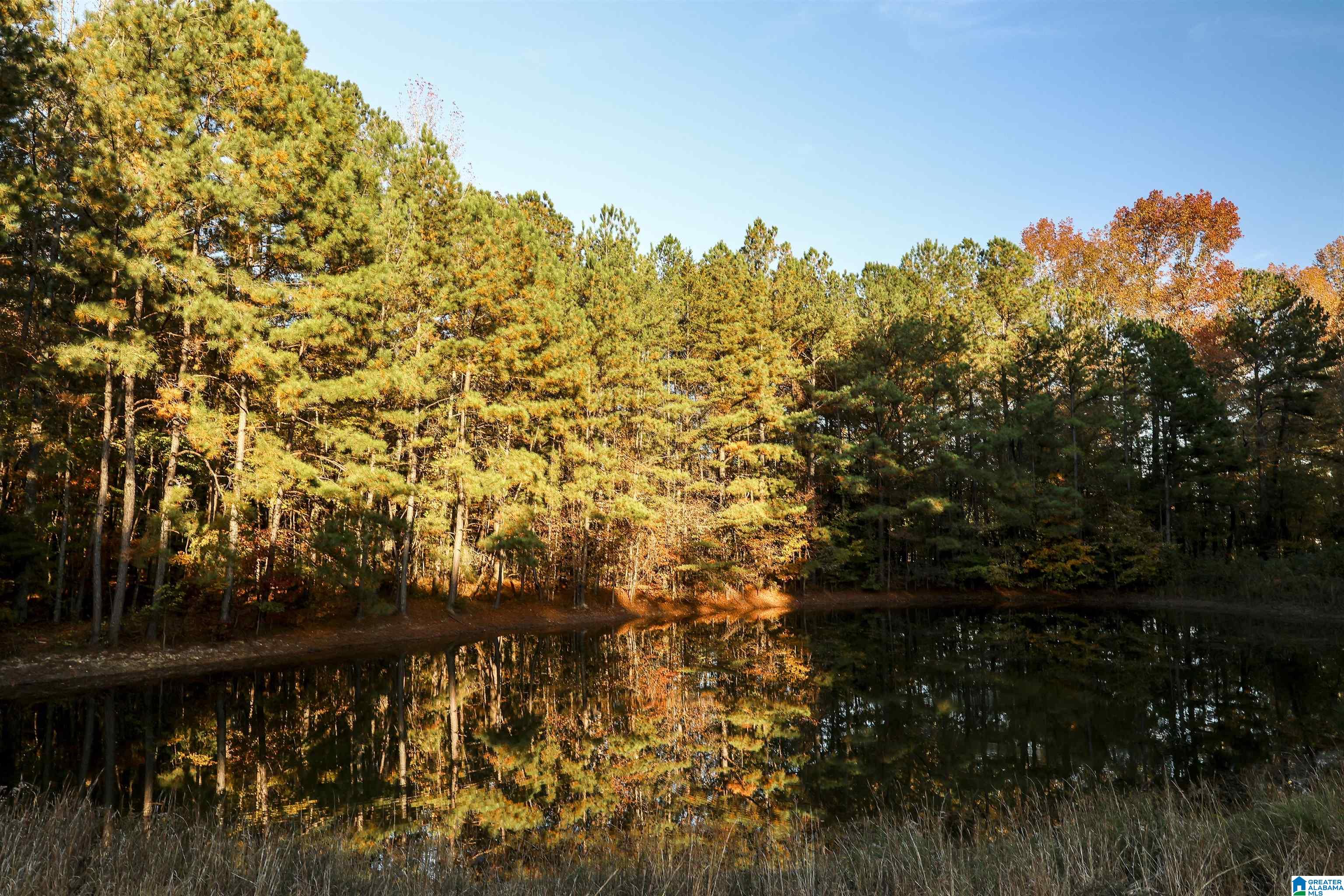 4465 CHOCCOLOCCO ROAD