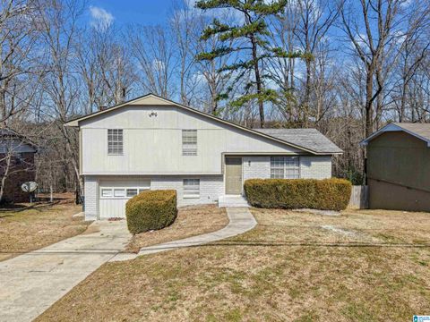 134 FREDA JANE LANE BIRMINGHAM AL 35215