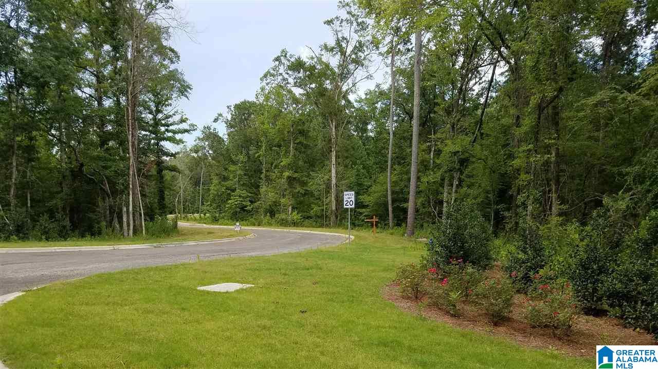 Photo 1 of 2 — 11 CHELSEA HIGHLANDS PARKWAY 11, CHELSEA, AL 35051