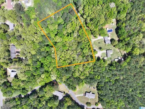 Off of CASTLEBERRY ROAD x TALLADEGA AL 35160