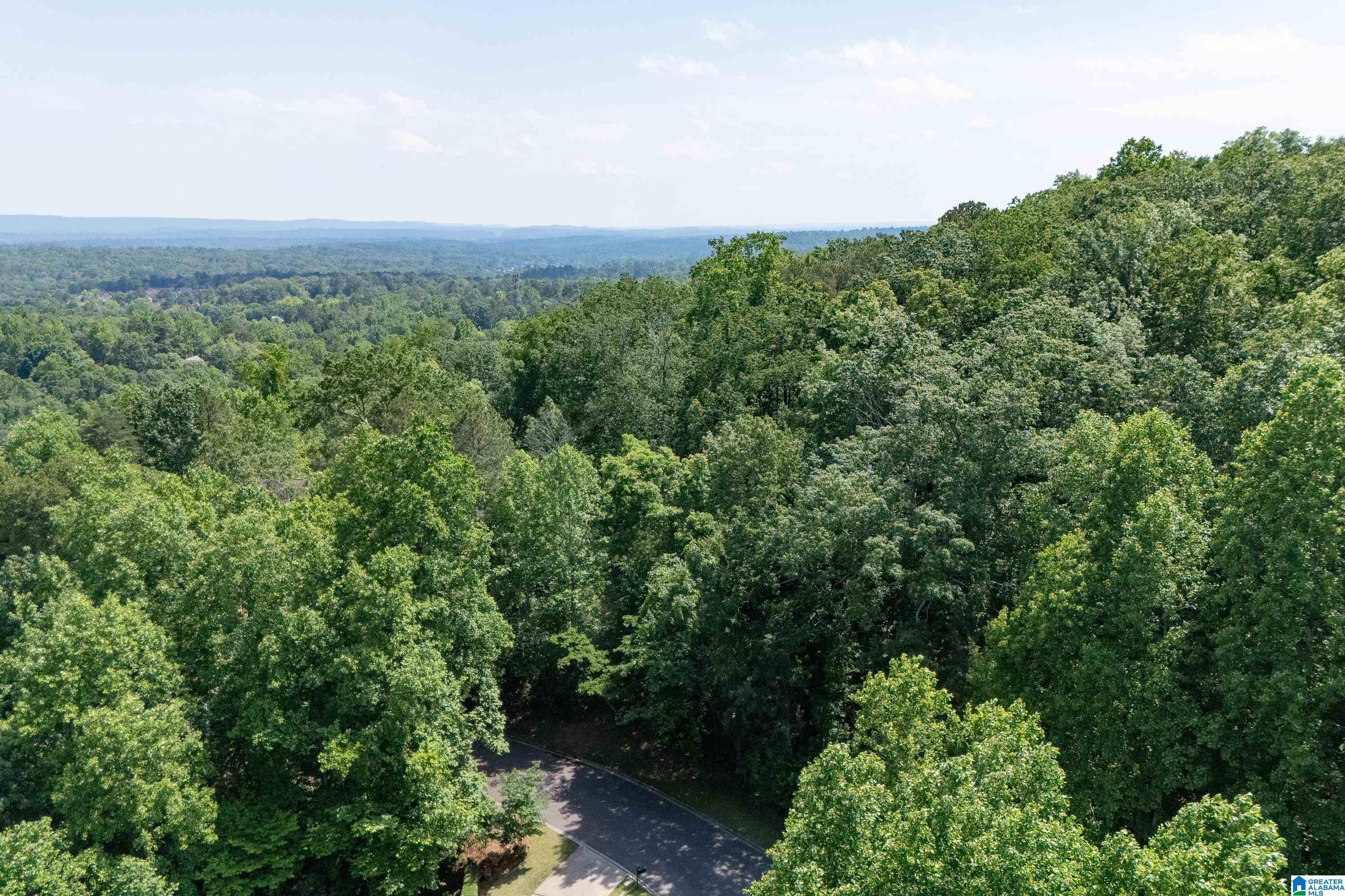 1961 ROCKY BROOK DRIVE 11