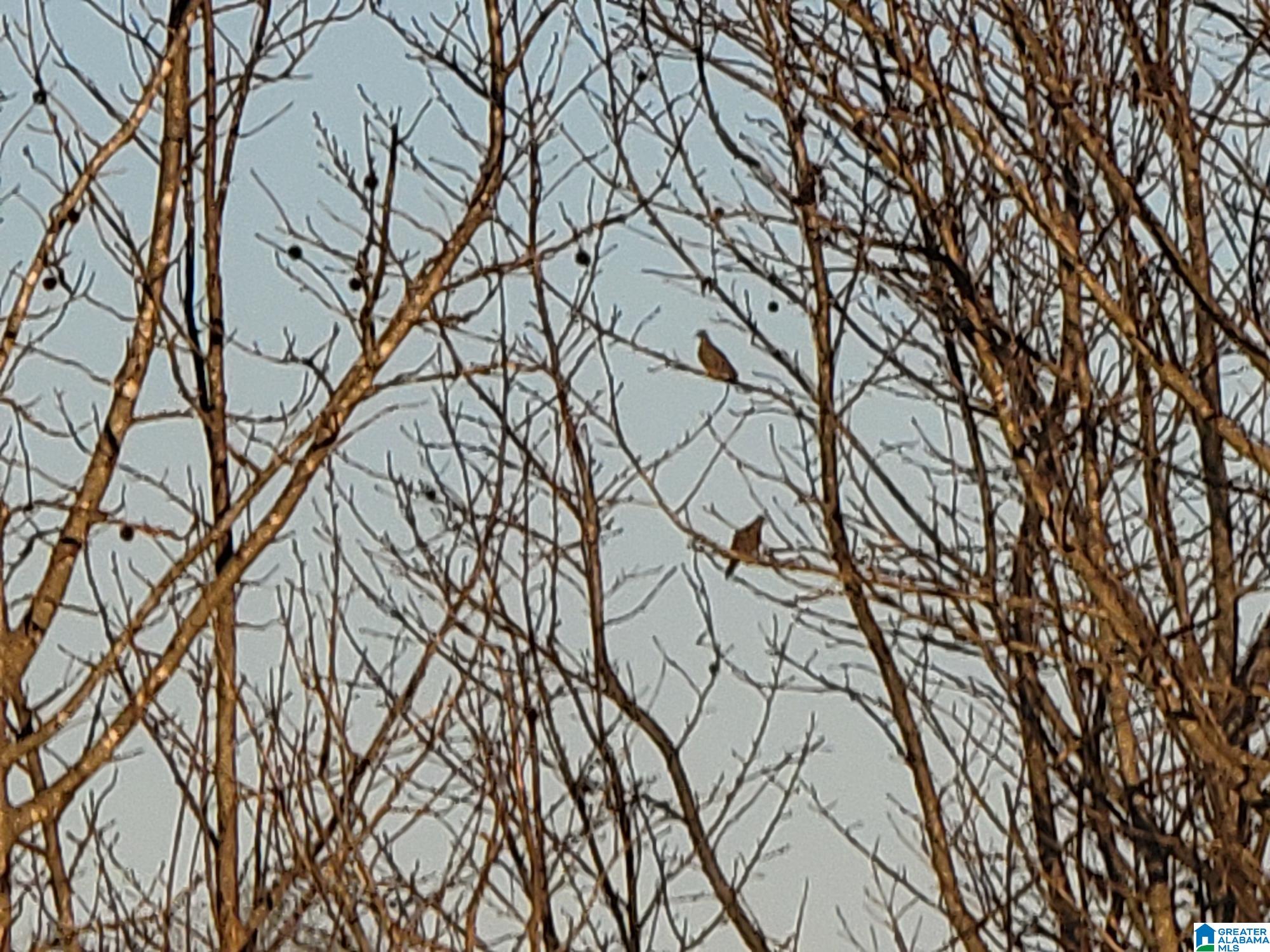 2091 COUNTY ROAD 13 2091